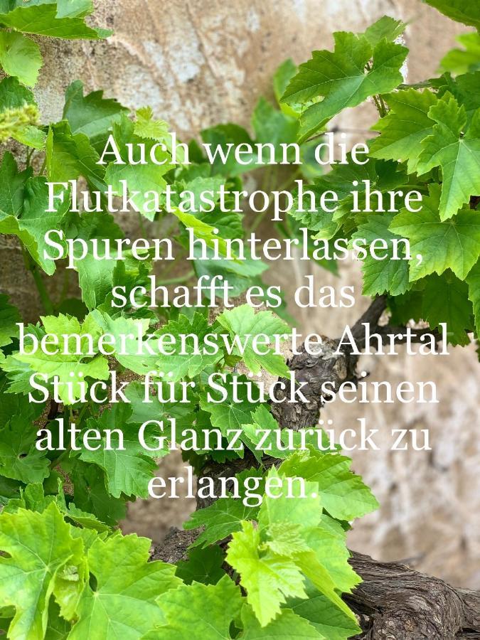 Auszeit Im Ahrtal Lejlighed Bad Neuenahr-Ahrweiler Eksteriør billede